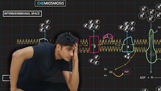 Oxidative Phosphorylation  MDCAT Biology [upl. by Nyvek455]