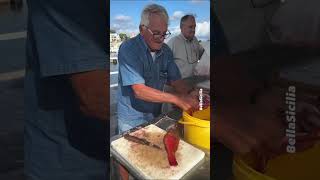 I giovani non vogliono fare questo mestiere tradizioni pesca sicilia isoladellefemmine [upl. by Nnagrom880]