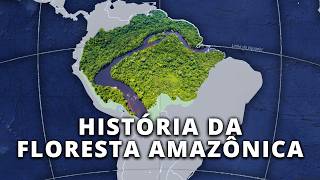 Como se Formou a Maior Floresta Tropical do Mundo  Globalizando Conhecimento [upl. by Eenram]