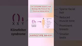 Klinefelters Syndrome shortsfeed genetics biology [upl. by Eric]