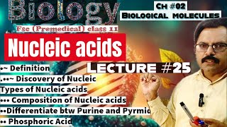 Nucleic Acids Definition Composition DNA RNA Biology class 11 Biomolecules in hindi amp Urdu [upl. by Mariya]