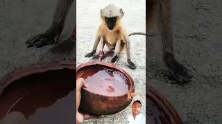 Hanuman Paye Chot Lage Che emotional 😢 shortvideos popular vairalreels trending 😢😢😥😔😔😟🐒🐒 [upl. by Eicats]