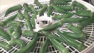 Dehydrating Okra [upl. by Adoree924]