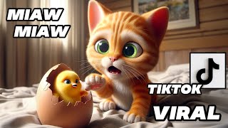 The Kitten and the Chick  A Friendship Sad Story Miaw Miaw Miaw Miaw Sad Song Cat Visual [upl. by Chally]