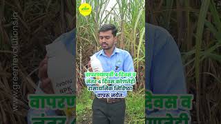 उसासाठी जिवाणू खते कशी वापरावी । Biofertilizer for sugarcane  NPK Consortia For Sugarcane [upl. by Yerxa748]