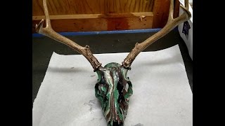 Spray Paint Dipping a Skull Mount How to DIY [upl. by Macegan]