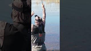 Fishing Big Dry Flies for Rainbow Trout in Patagonia Argentina travelfishfilm fishing trout [upl. by Steck]