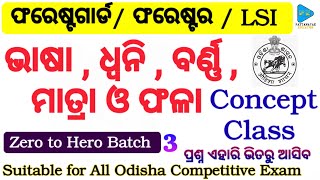 Odia Grammar Concept Class by PATTANAYAKEDUCATION  Bhasa  Dwani  Barna  Matra and Phala [upl. by Amarillas]