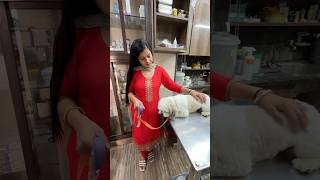 Hospital leke jana Pada Mortu ko Emergency Mai 🐶minivlog sanjhalikavlog dog doglover hospital [upl. by Fidellas]