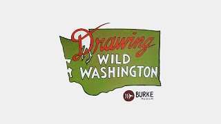 Introducing Drawing Wild Washington [upl. by Griseldis849]