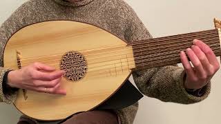 J Wood Signature 8 Course Renaissance Lute after Hieber [upl. by Mihcaoj565]