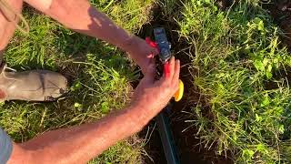 HOW TO INSTALL A QUICK COUPLING VALVE FOR IRRIGATION [upl. by Underwood167]