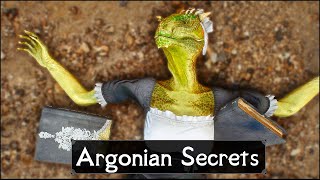 Skyrim 5 Things They Never Told You About Argonians [upl. by Nesline]