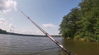 Fenwick Eagle Spinning Rod Review Great for Finesse Style Bass Fishing [upl. by Airod693]