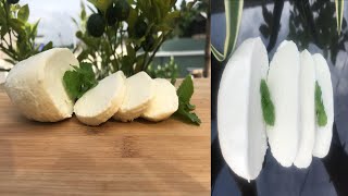 How to make Mozzarella Cheese at home [upl. by Sair821]