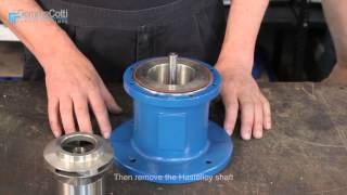 MAG DRIVE CENTRIFUGAL PUMP AISI 316 MOD HTM SS 316  TUTORIAL eng HD [upl. by Cheyne]