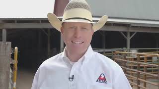 2018 World Livestock Auctioneer Championship [upl. by Egwan]