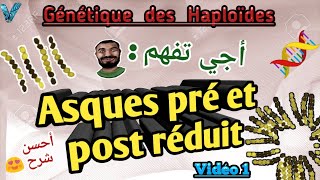 vidéo 1 génétique des haploides en arabe svi s4 [upl. by Barde]