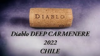 EL NUEVO VINO CASILLERO DEEP CARMENERE 2022 CHILE [upl. by Rorry]