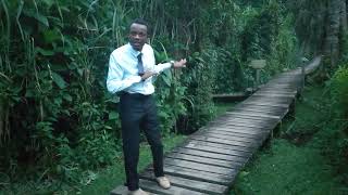 Awesome Nature at Mountain MtRwenzoriUganda [upl. by Feriga27]