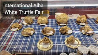 3 min Alba  International Alba White Truffle Fair  40 Years of Flavor [upl. by Harrietta]