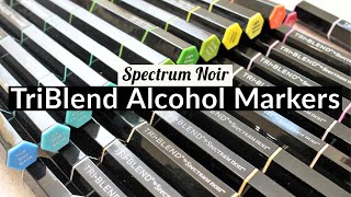 Spectrum Noir TriBlend Markers  How to colour with alcohol markers [upl. by Ailaroc]