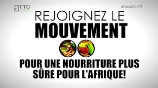 Aflasafe BF01 lutte contre laflatoxine mortelle dans la nourriture du Burkina Faso Français [upl. by Nwavahs]