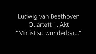 Beethoven  Fidelio  Quartett  quotMir ist so wunderbarquot Fischer Craig Fernández Ruppert  Acosta [upl. by Corette94]