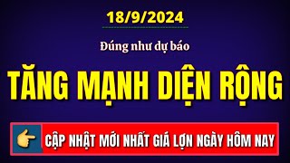 Giá heo hơi hôm nay ngày 1892024  Đúng như dự báo giá lợn đồng loạt tăng mạnh trên diện rộng [upl. by Cathryn636]