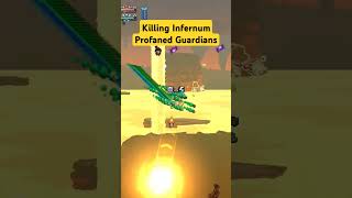 Killing Profaned Guardians in Infernum terraria gaming calamity infernum [upl. by Oetam]