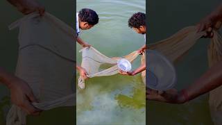 winter season span farming shortsvideo fishing fishspawn pond [upl. by Repotsirhc364]