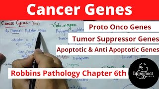 Cancer genesproto oncogenes Tumour suppressor gene Apoptotic and Anti Apoptotic genes pathology [upl. by Atteinotna]