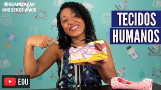 Aula Tecidos Humanos Ep 4 [upl. by Brie]