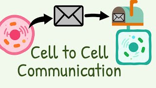 Cell to Cell Communication  Types of signaling [upl. by Meeharbi]