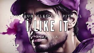 Enrique Iglesias amp Pitbull  I Like It Studio Acapella [upl. by Jany395]