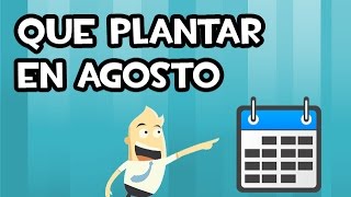 Que SEMBRAR y PLANTAR en AGOSTO  Calendario de Siembra [upl. by Joana980]