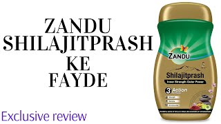 Chyawanprash  Zandu Shilajit Prash Use  Chyawanprash Ke Fayde  Zandu Chyawanprash [upl. by Ana113]