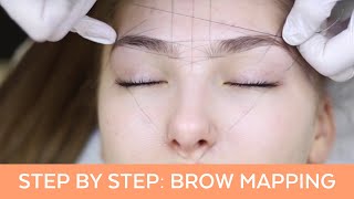 Brow Mapping Step By Step Training [upl. by Juxon816]