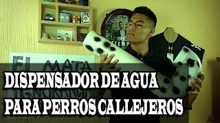 ¿Como hacer un BEBEDERO de AGUA para perros callejeros  Cheke 97 [upl. by Nnyleuqaj]