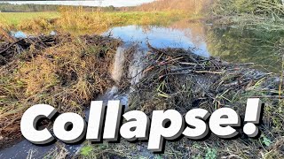 One of The Best Beaver Dam COLLAPSE [upl. by Seerdi170]