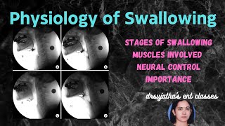 211Physiology of Swallowing Deglutition swallowing anatomyphysiology [upl. by Panaggio]