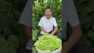 How to pluck natural vegetables from the field grow them trending farming shortsvidio [upl. by Sonya465]