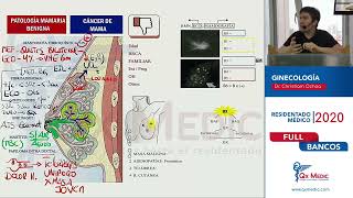 Ginecología  Patologia mamaria benigna Ca de mama [upl. by Vernor904]