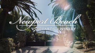 Newport Beach Vineyards  Winery Promo Tour [upl. by Enneicul]