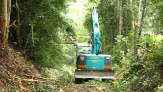 Track clearing on the Glenreagh to Dorrigo Branch Line 1 [upl. by Akehsat]