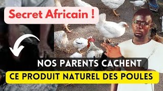 Ce Produit Naturel Inconnu Soigne Toutes les Maladies des Poulets Rediffusion [upl. by Nosreip]