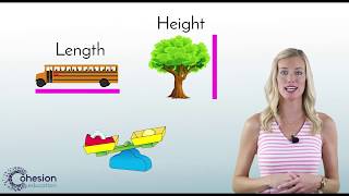 Kindergarten Math  Describe Attributes of An Object [upl. by Riatsila]