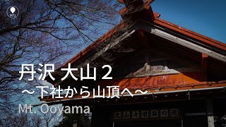 丹沢 大山２ 下社から山頂へ【登山・日帰り・車・2021年12月】神奈川県 丹沢大山国定公園 日本三百名山 関東百名山Tanzawa Mountains [upl. by Maitund]