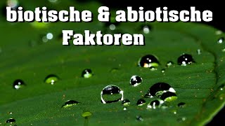 Ökologie abiotische amp biotische Faktoren [upl. by Anihsit]