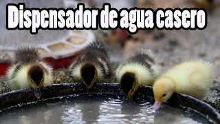 Como Hacer un Dispensador de Agua para Pájaros [upl. by Renell]